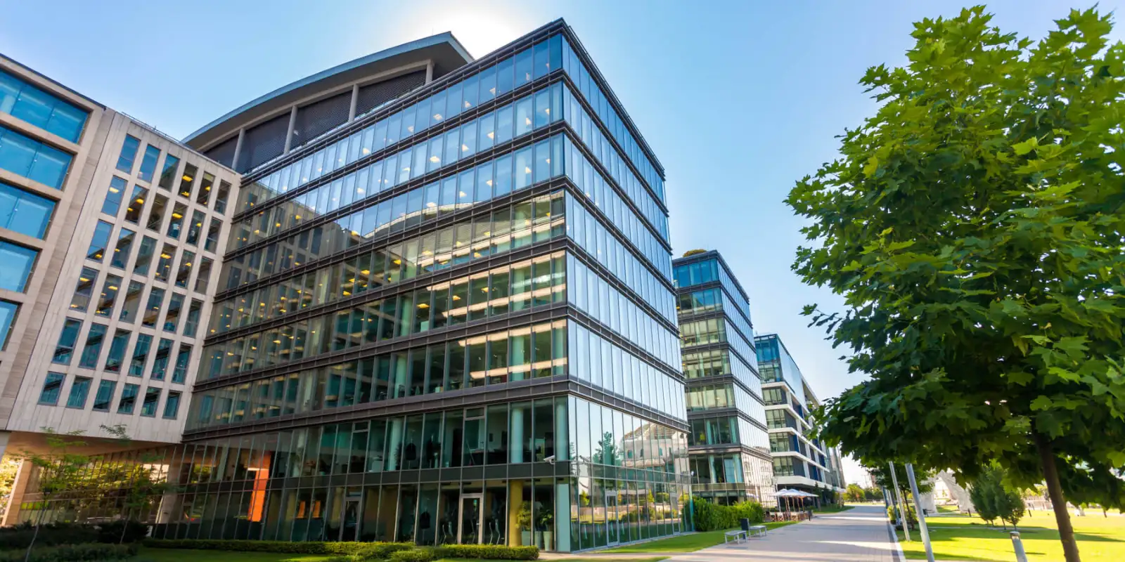 Glass Office Building